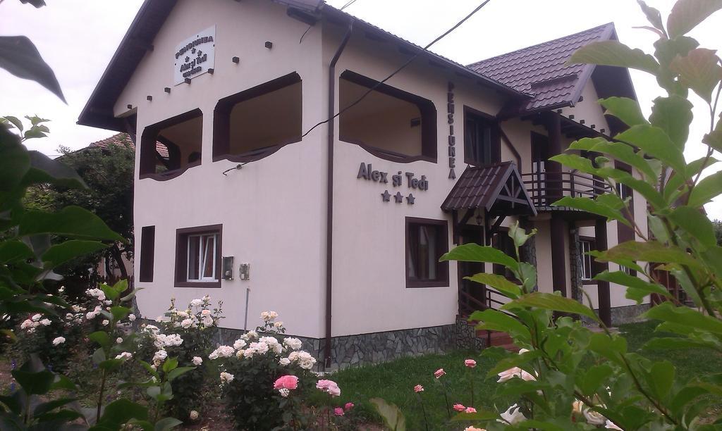 Pensiunea Alex Si Tedi Horezu Room photo