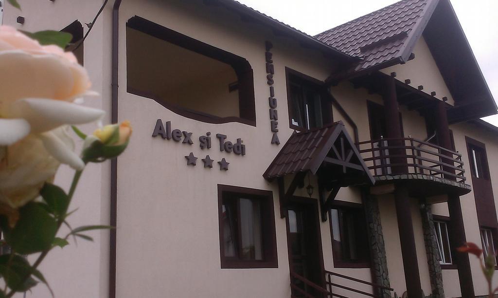 Pensiunea Alex Si Tedi Horezu Exterior photo